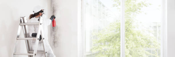 Notasulga, AL Mold Removal Company